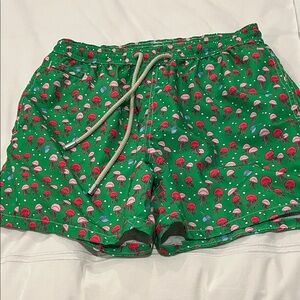 MC2 Saint Barth Green Mushroom Print Athletic Shorts